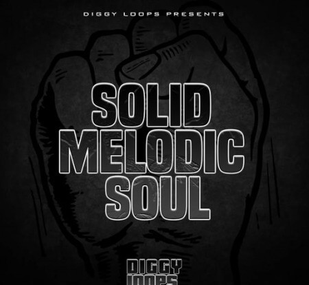 Big Citi Loops Solid Melodic Soul WAV